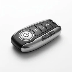 Smart Key Fob (Proximity / Push-to-Start)