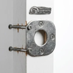 Strike Plate and Screws