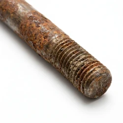 Bolt and Hinge Rust